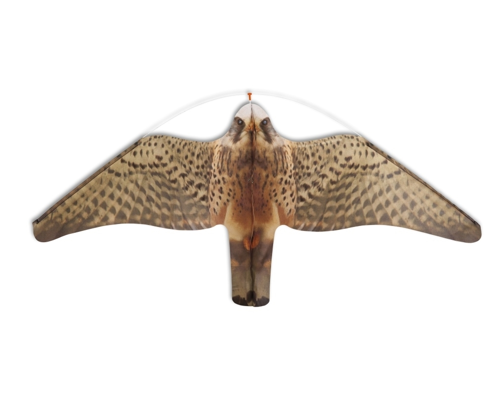 Falcon (fabric small) Falcon (fabric small)
